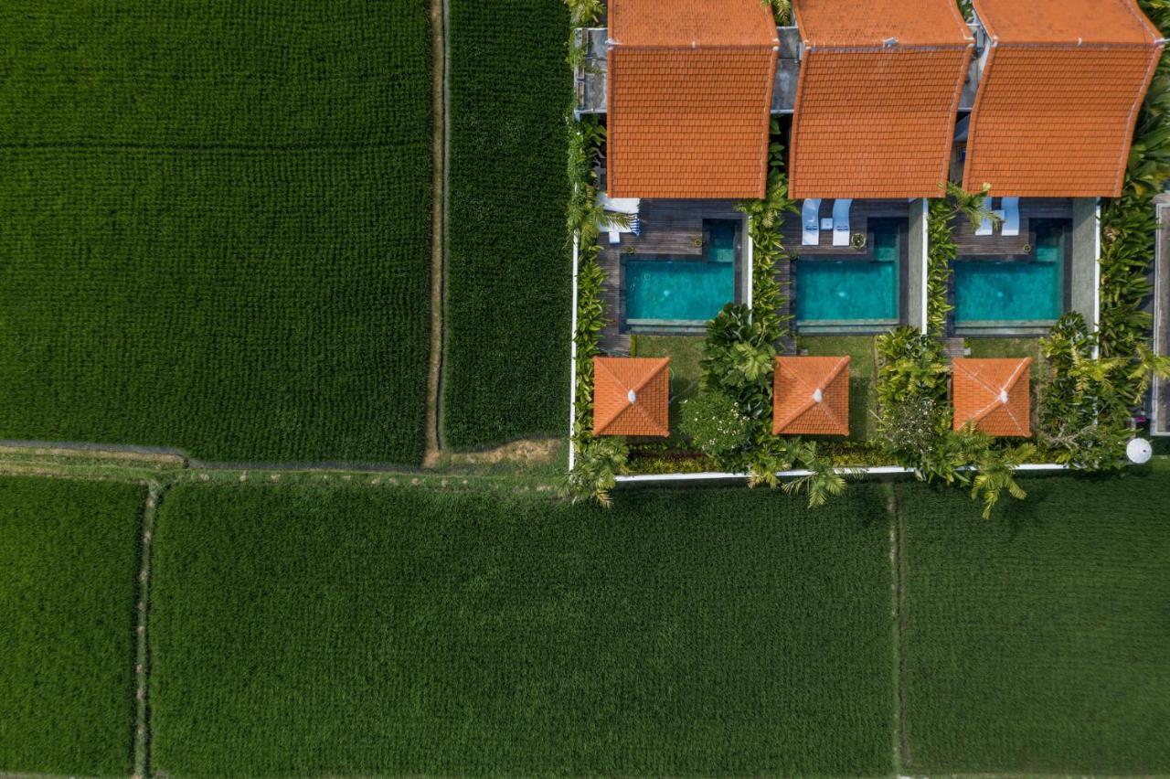Sawah Villas Ubud Exteriér fotografie